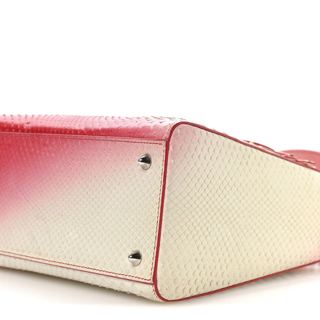 Snakeskin Ombre Medium Lady Dior Red White AT My store