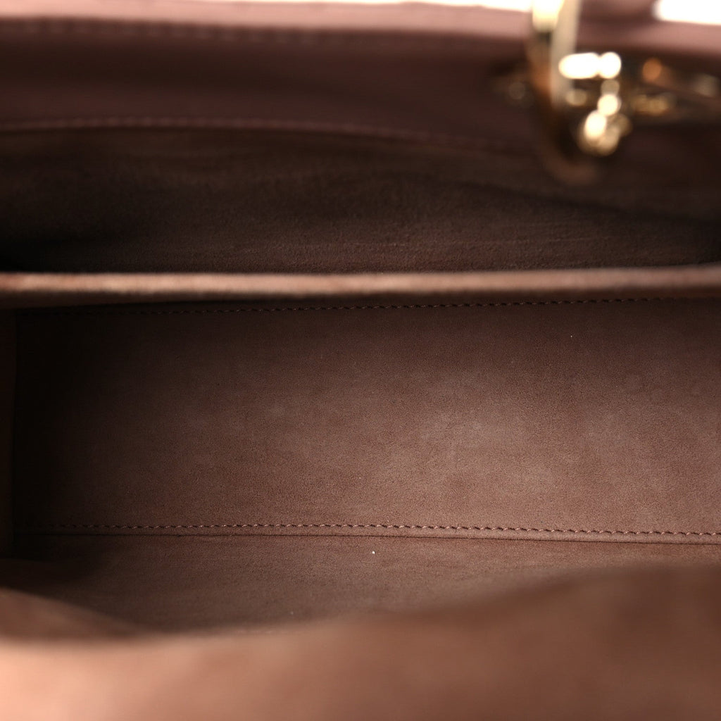 Lambskin Cannage Medium Lady Dior Fard AT My store