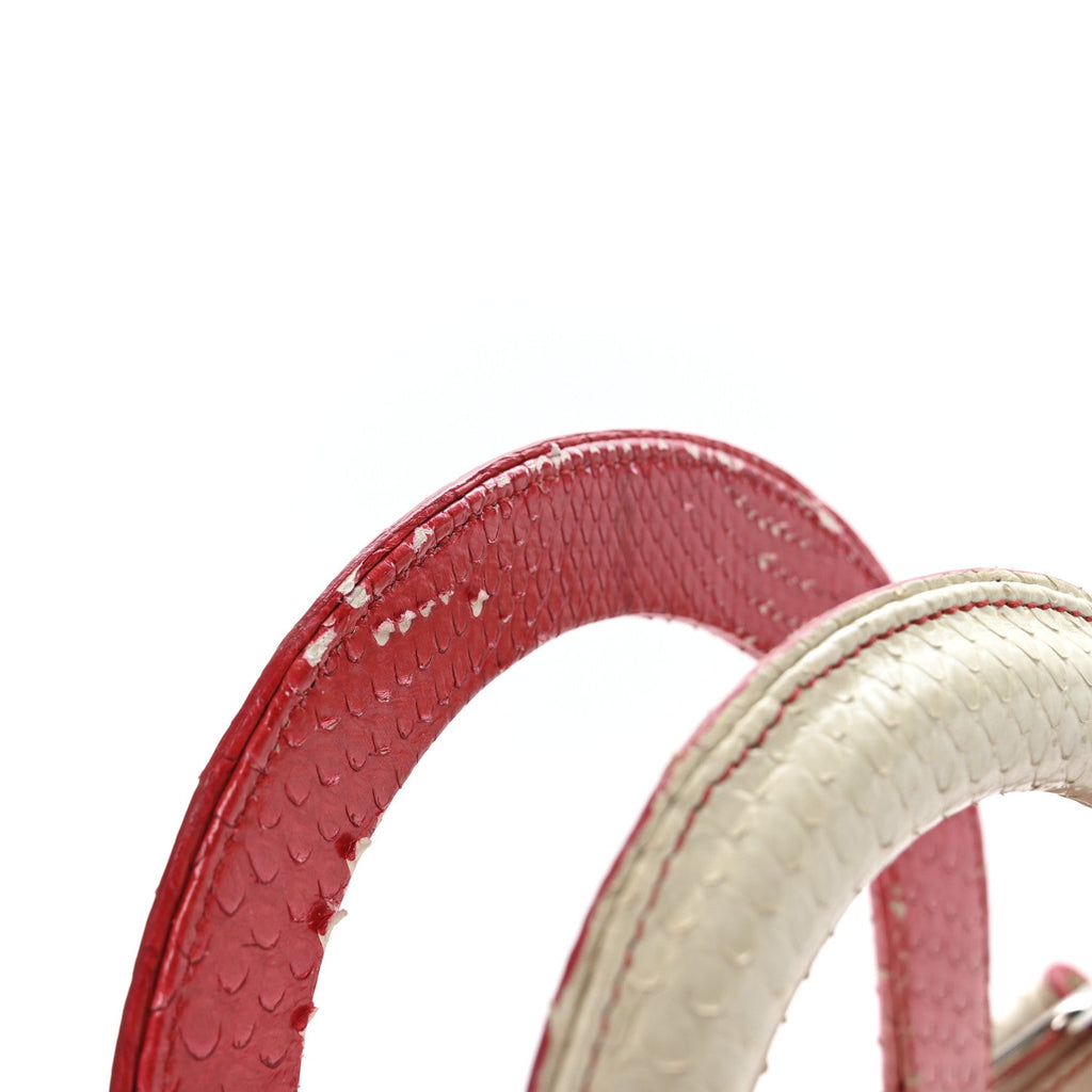 Snakeskin Ombre Medium Lady Dior Red White AT My store