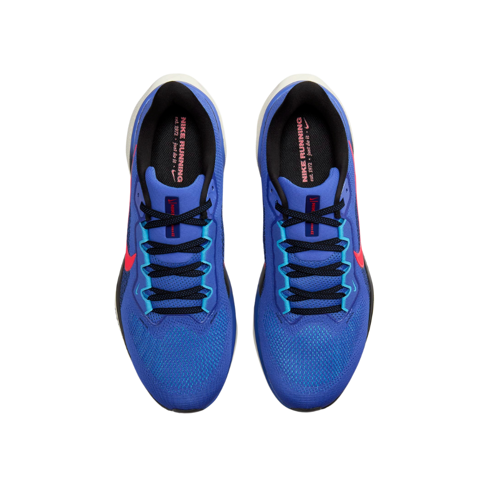 Top Seller Air Zoom Pegasus 41 For Men