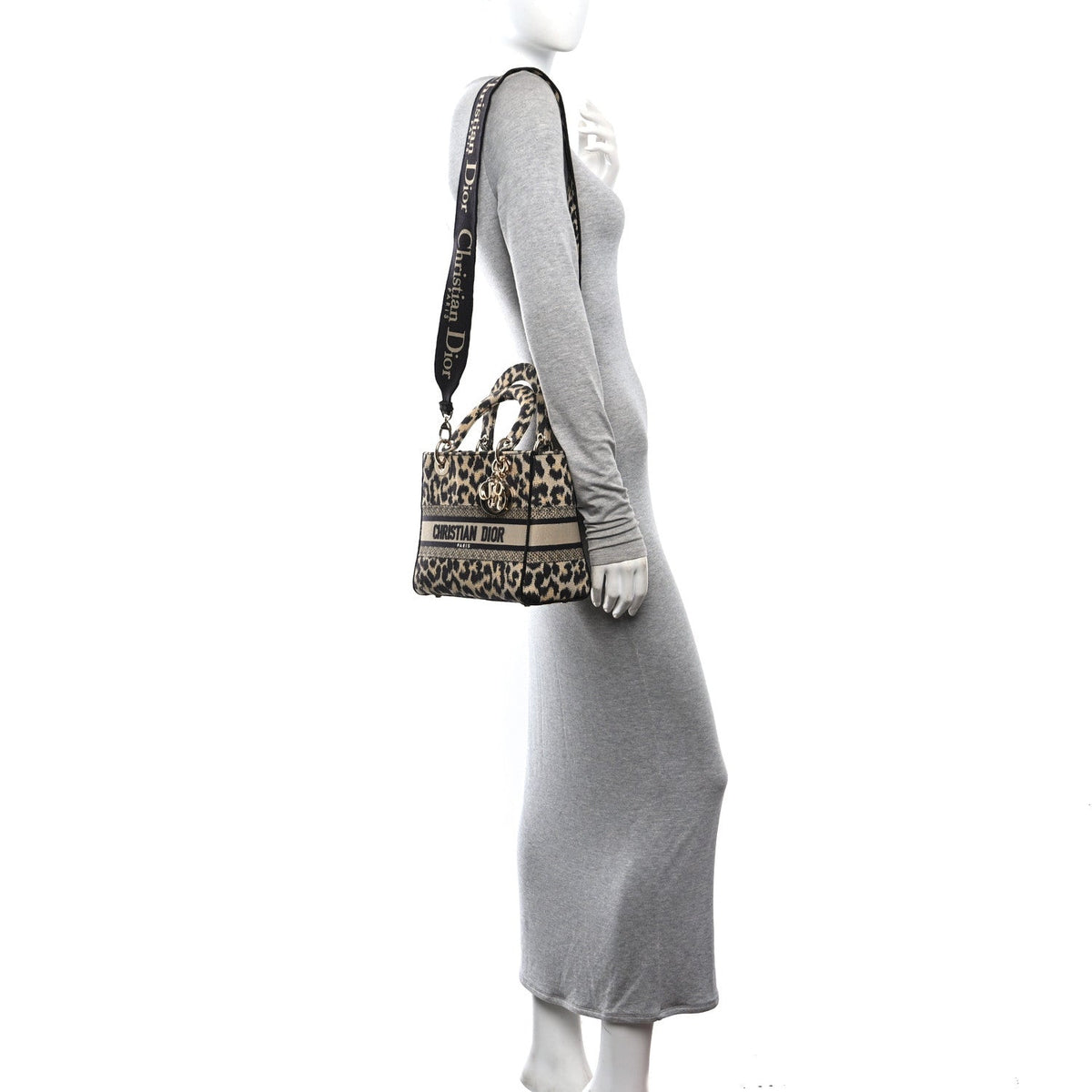Canvas Medium Mizza Embroidered Lady D-Lite Beige Multicolor AT My store