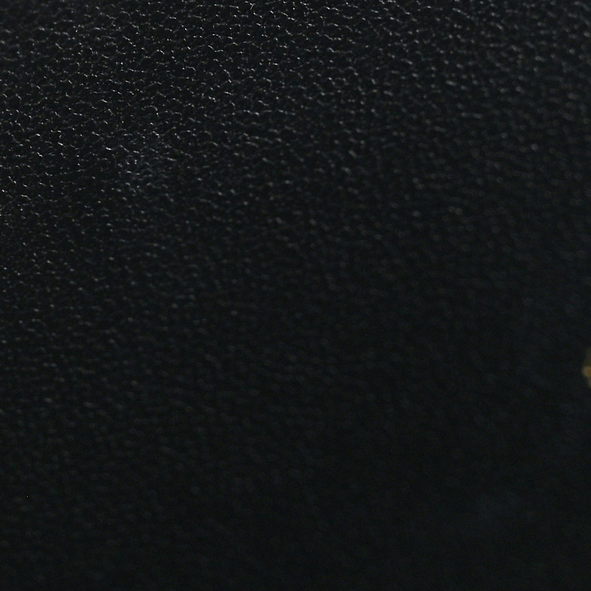Supple Calfskin Cannage Caro Belt Pouch with Chain Black AT My store