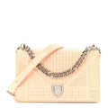 Patent Micro-Cannage Small Diorama Flap Bag Rose AT My store