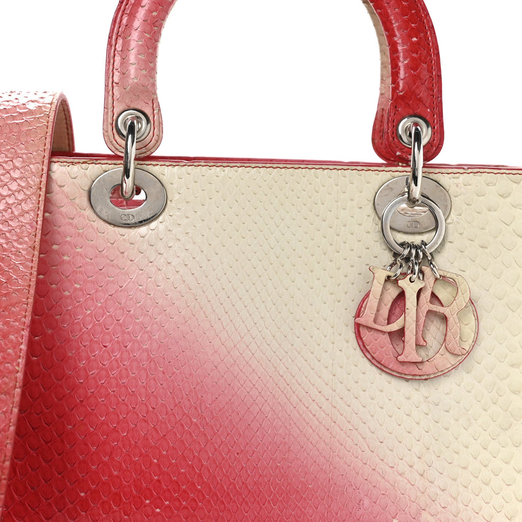 Snakeskin Ombre Medium Lady Dior Red White AT My store