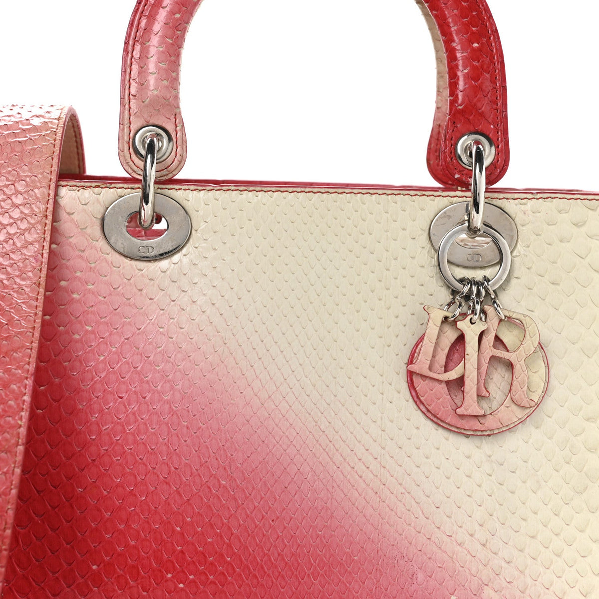 Snakeskin Ombre Medium Lady Dior Red White AT My store