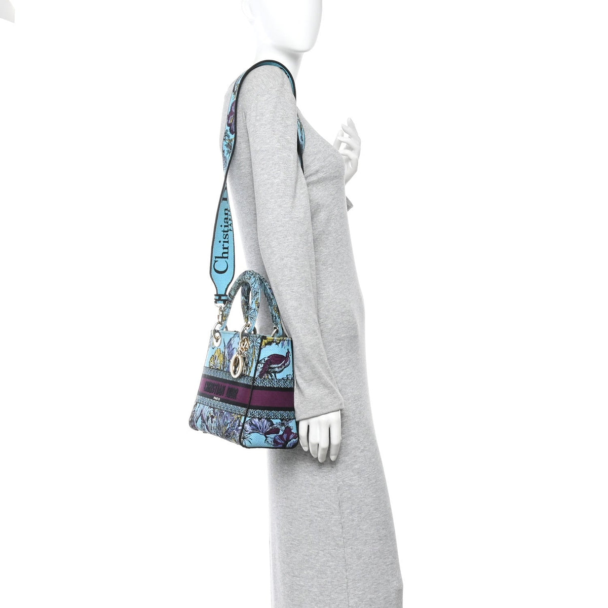 Canvas Toile de Jouy Voyage Embroidered Medium Lady D-Lite Celestial Blue AT My store