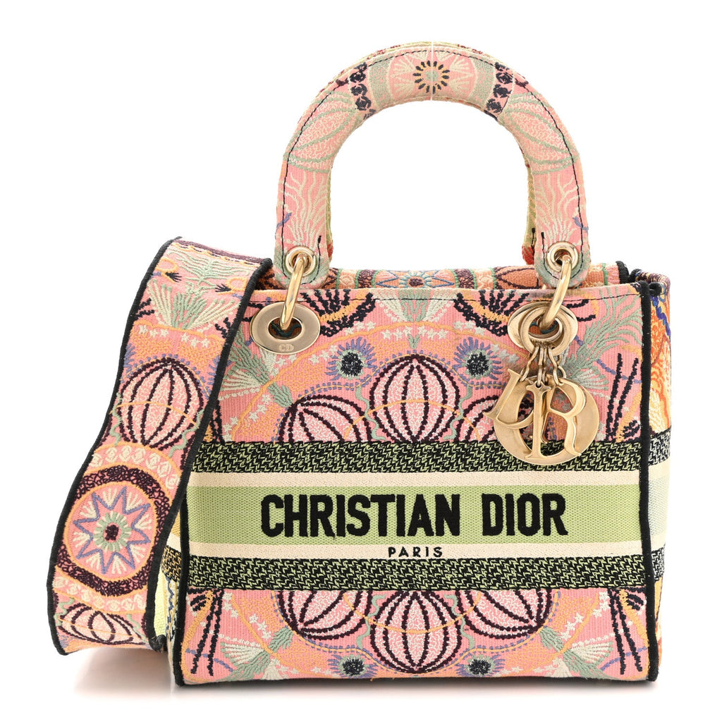 Canvas Embroidered In Lights Medium Lady D-Lite Multicolor AT My store