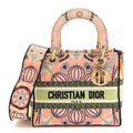 Canvas Embroidered In Lights Medium Lady D-Lite Multicolor AT My store