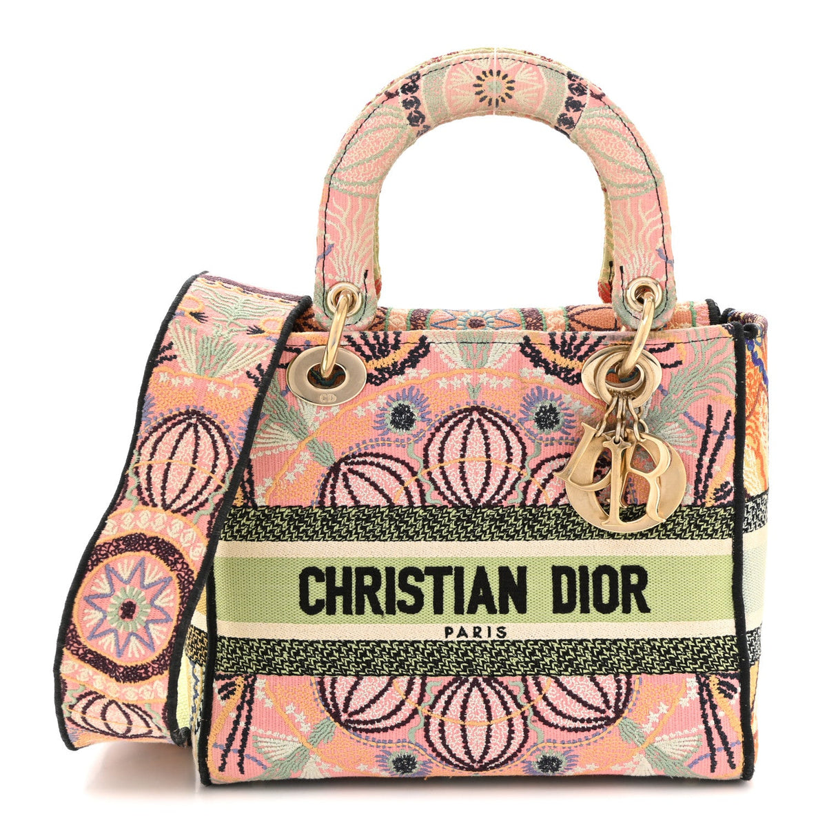 Canvas Embroidered In Lights Medium Lady D-Lite Multicolor AT My store