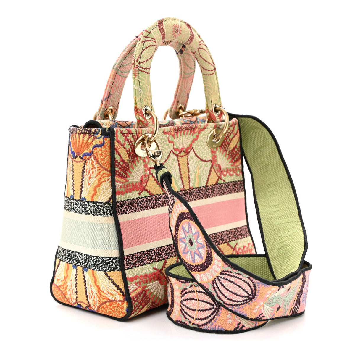 Canvas Embroidered In Lights Medium Lady D-Lite Multicolor AT My store