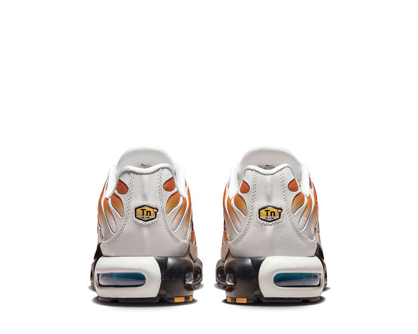 Nike Air Max Plus One Black Down "Reverse"