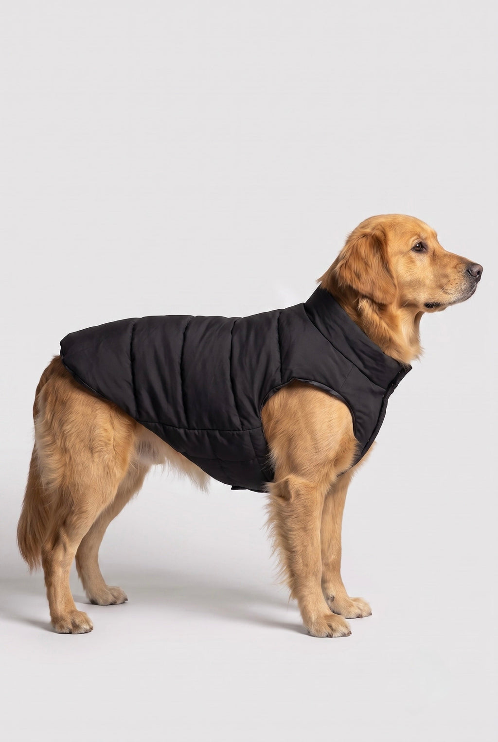 Hot-Sale Pet Puffer Jacket