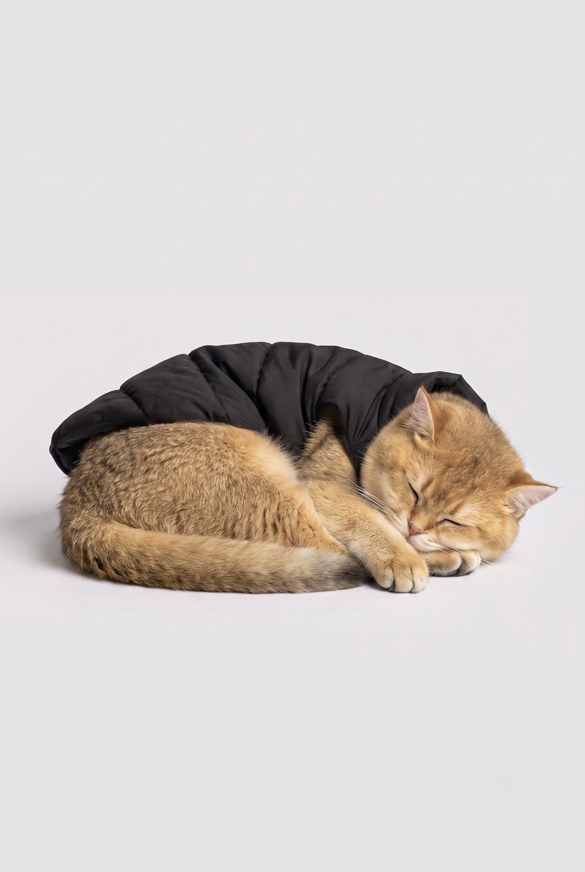 Hot-Sale Pet Puffer Jacket