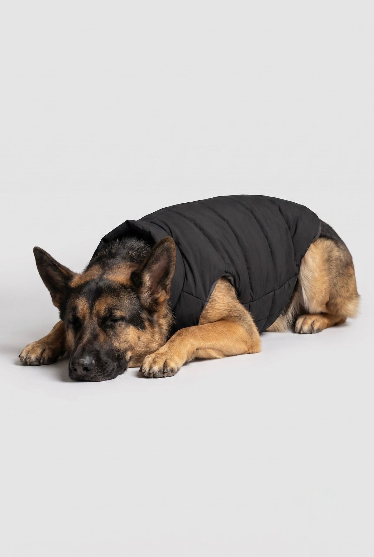Hot-Sale Pet Puffer Jacket