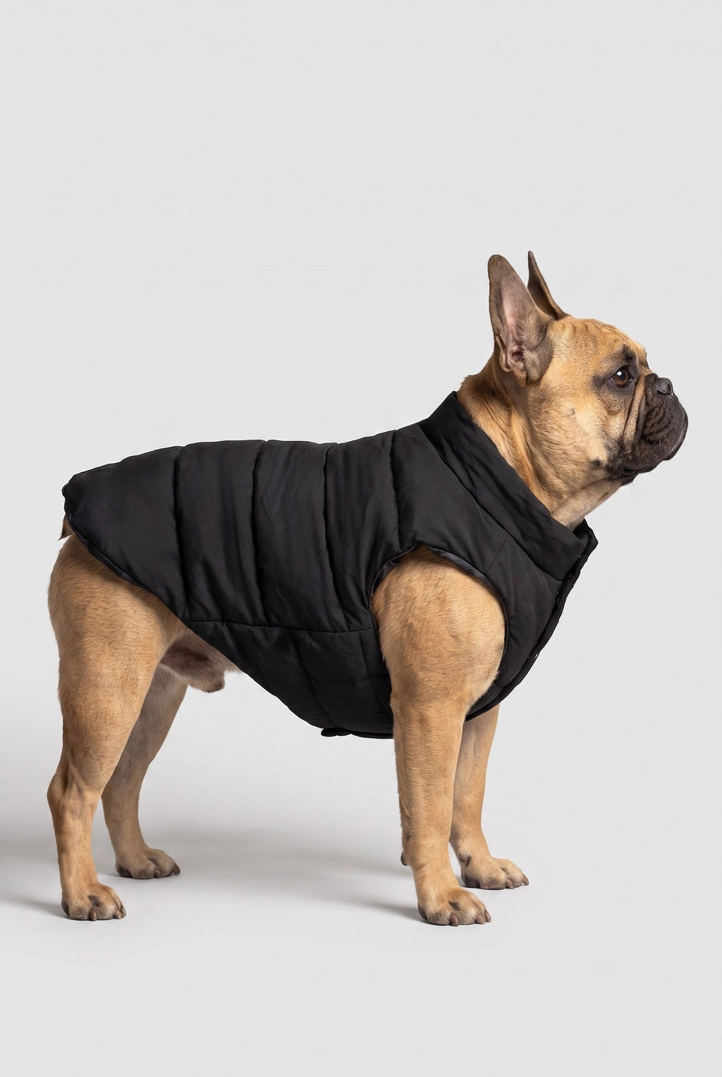 Hot-Sale Pet Puffer Jacket