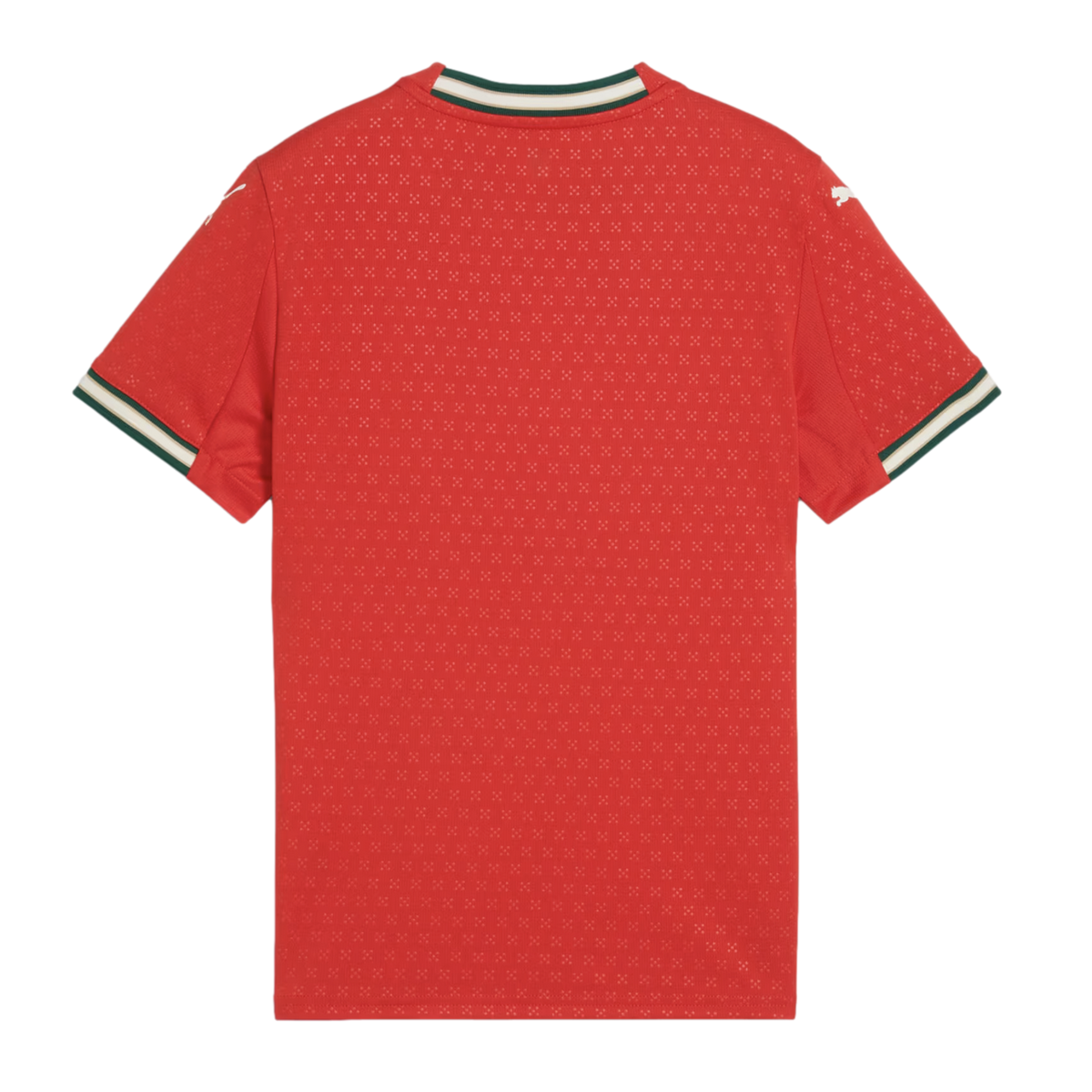 2026 New Arrival Puma Portugal 2025 Youth Home Jersey
