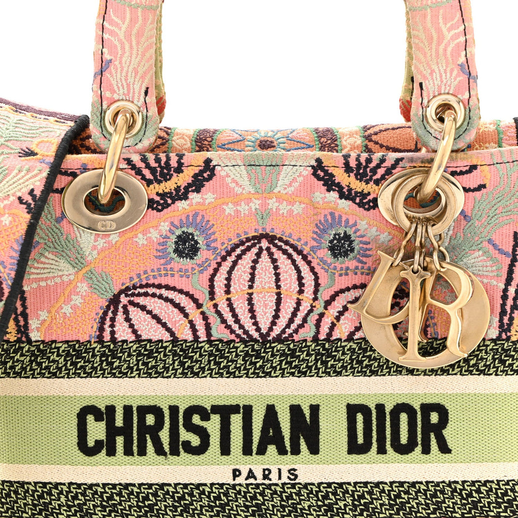 Canvas Embroidered In Lights Medium Lady D-Lite Multicolor AT My store