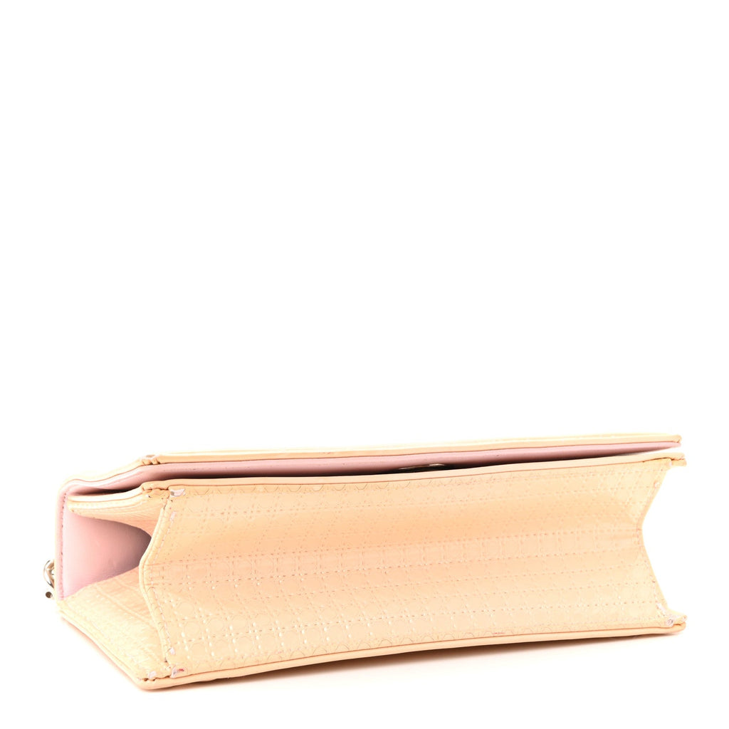 Patent Micro-Cannage Small Diorama Flap Bag Rose AT My store