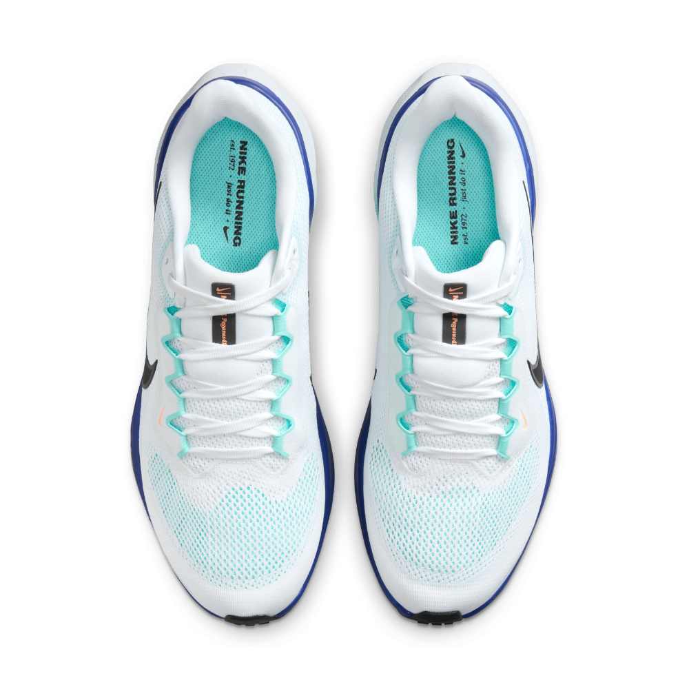 Top Seller Air Zoom Pegasus 41 For Men