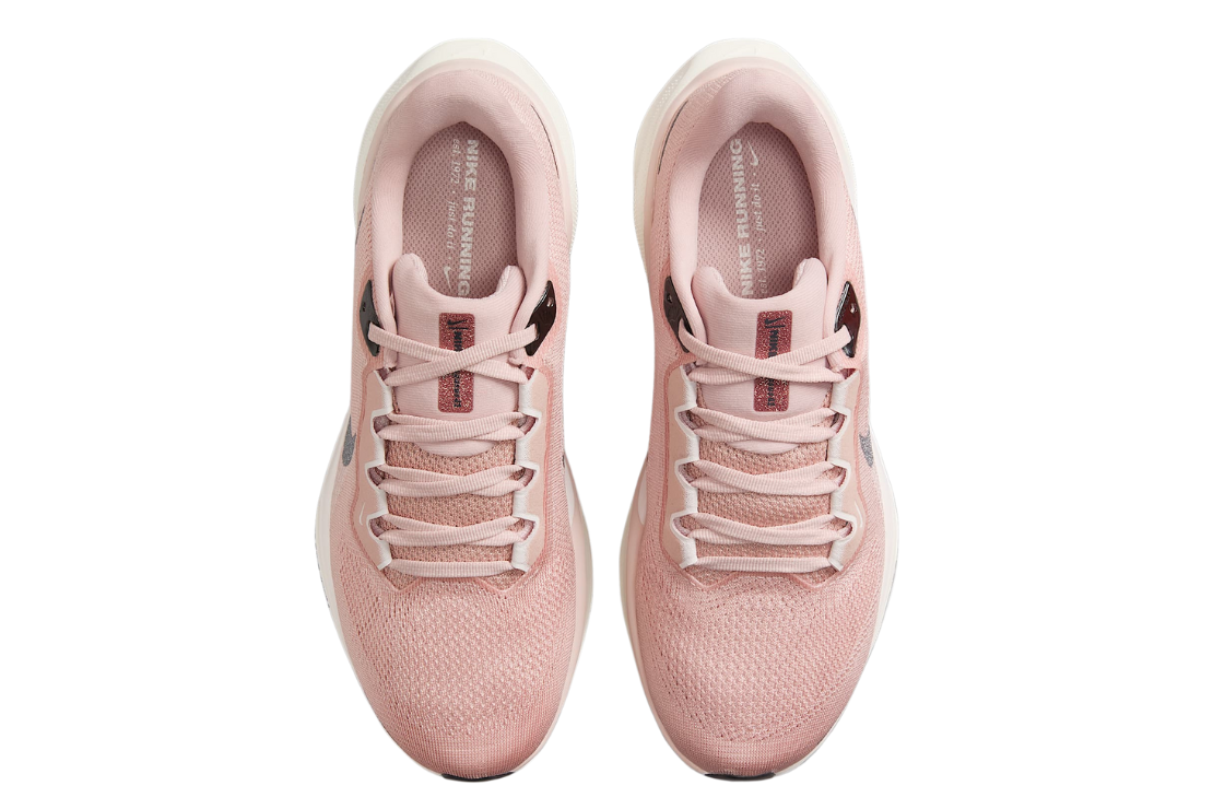 Top Seller Air Zoom Pegasus 41 For Women
