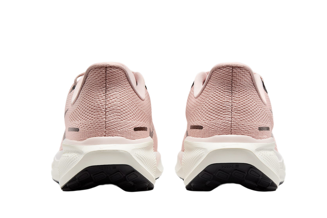 Top Seller Air Zoom Pegasus 41 For Women