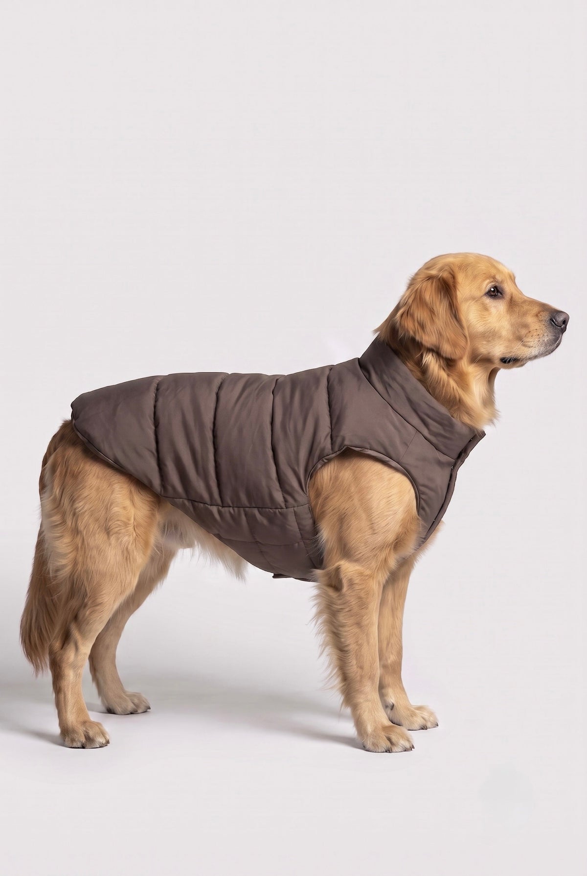 Hot-Sale Pet Puffer Jacket