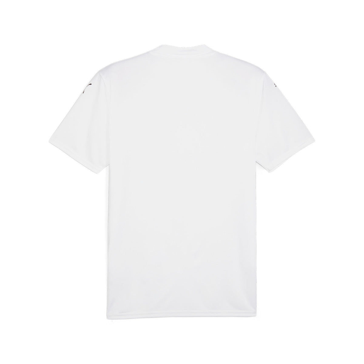 2026 New Arrival Puma TeamGlory Youth Jersey - White [WHITE]